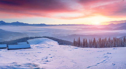 Magnificent winter sunrise in abandoned mountain village with snow covered fir trees