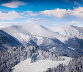 Sunny winter morning in Carpathian mountains.