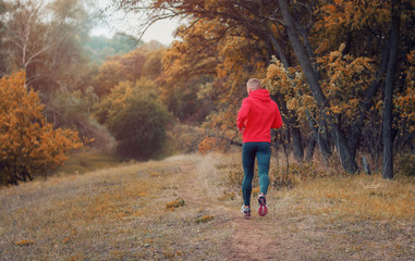 Obraz premium athletic jogger in a black runs on the colorful yellow autumnal forest