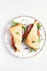 Sandwiches on white background