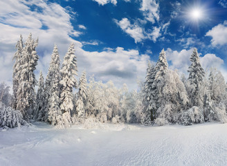 Fototapeta na wymiar Beautiful winter landscape in the mountain forest
