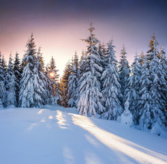 Fototapeta na wymiar Beautiful winter sunrise in the mountains.