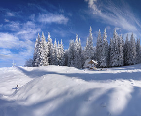 Winter fairy tale after heavy snowfall in the mountain forest