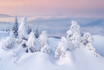 Beautiful winter landscape in the mountains