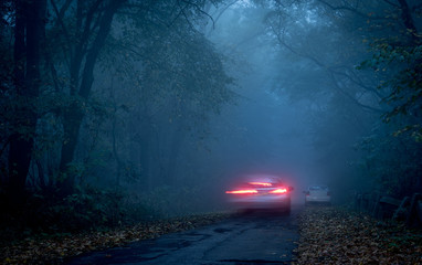 Road through a dark forest at night