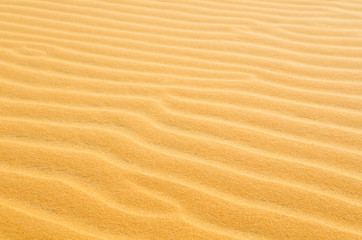 beach sand