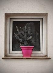 Black and white window with pink flowerpot
