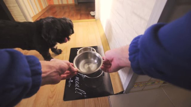 Person POV of changing water inside dog iron bowl 4K
