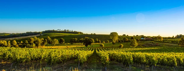Foto auf Acrylglas Sonnenuntergang Landschaft Bordeaux Weingut Frankreich © FreeProd