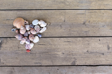 romantic heart decoration of seashells in heart form on the wooden planks background