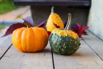 fresh mini pumpkins and red grape leaves on the wooden planks