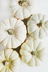 Closeup of white pumpkins on white background. Flat lay, top view.