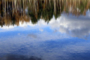 Obraz na płótnie Canvas reflexion of the autumn wood in the lake
