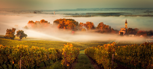 Sonnenuntergang Landschaft Bordeaux Weingut Frankreich