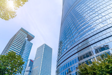 Obraz premium Skyscrapers from a low angle view