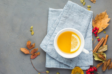 Autumn background with hot lemon tea, yellowed leaves, book, berries, cinnamon, seeds. Perfect sunny autumn. A autumn gray concrete background for you. Copy Space. Place for text. Flat lay, top view