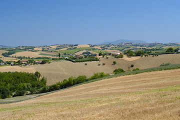 Obraz premium Summer landscape in Marches (Italy) near Appignano