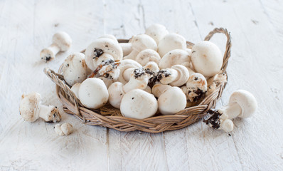 Champignon Mushrooms  on a table