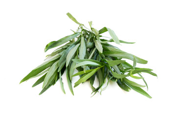 Tarragon
