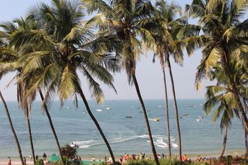 Fototapeta na wymiar Palm trees on the background of the sea