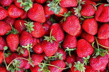 Red juicy strawberry at turkish market.