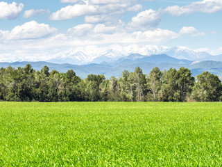 Mountains of Catalonia