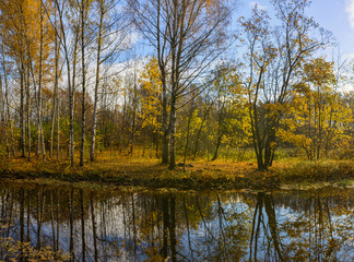 Golden autumn