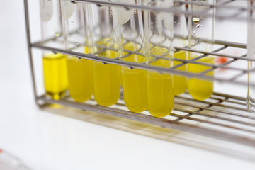 Education Biotechnology and Experiment chemical in the laboratory.	