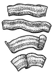 Bacon illustration, drawing, engraving, ink, line art, vector
