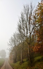 Landscape with a cold and foggy autumn morning