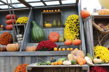 décors légumes d'automne / halloween