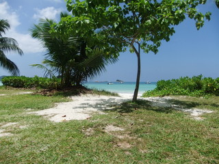 Fototapeta na wymiar plage seychelle
