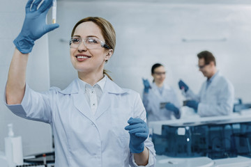 Medical vaccine. Cheerful positive successful scientist looking at the test tube and smiling while developing a medical vaccine