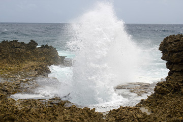 Blowhole