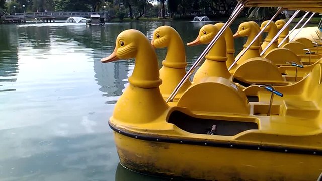 Row of catamarans in shape of funny yellow ducks. Lumpini park, Bangkok, Thailand.