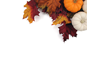 This is a photo of fall leaves and pumpkins with whitespace.
