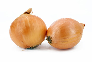 bulbs of onion on a white background