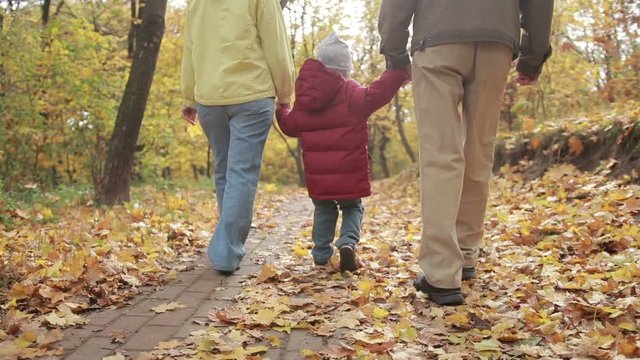 Toddler boy walking with grandparents in autumn