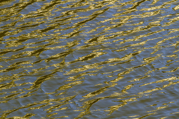 Texture water yellow, gray and black сolour , rippled water detail. 
