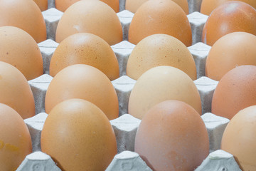 Egg, Chicken Egg in the package.