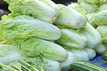 Chinese cabbage at market