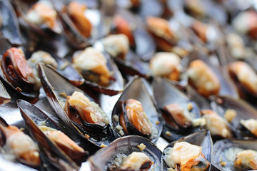 baked mussels with cheese in open shells