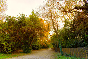 Fototapeta premium Vive l'Automne