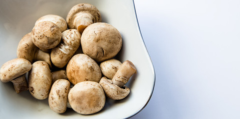 Fresh white mushrooms champignon