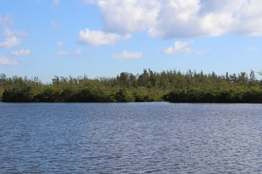 water landscape