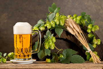 Still life with Hops,  Beer and Barley.