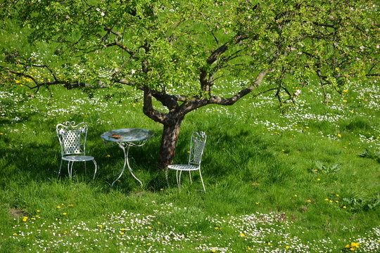 st&uuml;hle und tisch unter einem apfelbaum