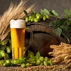 Beer Glass with Hops and Rw Material for Beer Production.