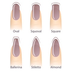 Nail manicure, set of nails shapes - oval, square, almond, stiletto, ballerina squoval Vector © DruZhi Art