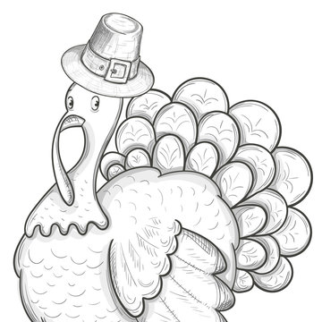 Colorful illustration of Thanksgiving day turkey, sketch illustration. Vector.